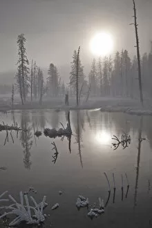 Images Dated 5th February 2009: Fog at sunrise, Yellowstone National Park, Wyoming, USA