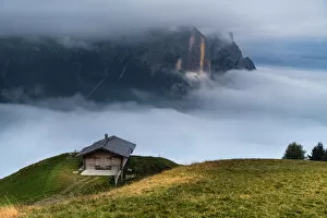 Images Dated 30th September 2017: Foggy at Alpe di Siusi(Seiser Alm), Dolomites, Italy