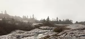 Foggy landscape panorama