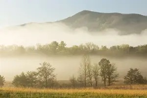 Foggy morning, Cades Cove, Great Smoky Mountains National Park, Tennessee, USA