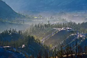Images Dated 30th July 2011: Foggy morning landscape near Mount Bromo
