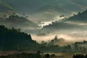 Images Dated 26th December 2010: Foggy morning in Nan, Thailand