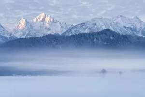 Images Dated 7th February 2017: Foggy morning with snowy mountain in Germany