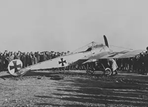 3646 Prints: Fokker E-III
