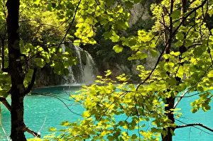 Lika Senj County Prints: Behind the foliage - Plitvice Lakes National Park