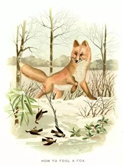 How to fool a fox lithograph 1897