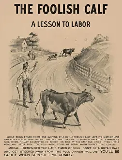 Labor Prints: The foolish calf, a lesson to labor