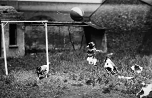Goal Post Prints: Football Crazy