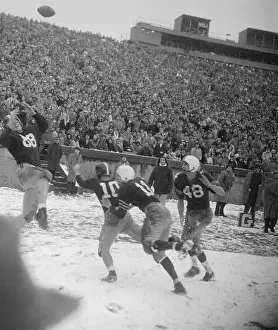 New Haven Prints: Football Flies Over Ted Kennedy's Head