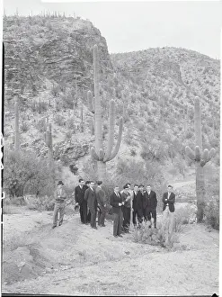 Tucson Prints: Football Players Inspecting Cactus