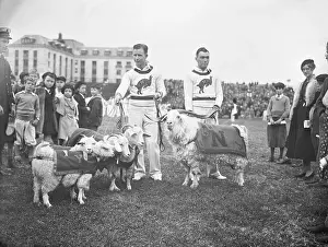 Football Players with Their Navy Mascot Goat