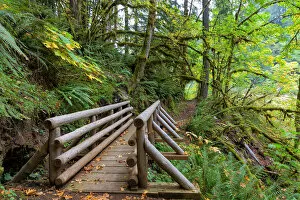 Footbridge at Butte Creek Hiking Trail