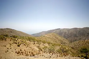 Sierra Prints: Foothills of the Sierra Nevada, Andalucia, southern Spain, Europe