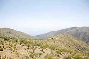 Foothills of the Sierra Nevada, Andalucia, southern Spain, Europe