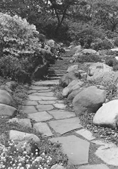 Garden Path Collection: Footpath in rock garden, (B&W)
