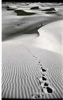 Landforms Prints: Footprints on Desert Dunes