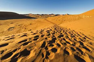 Abundance Prints: Footprints in the Sand and pathways created from the multitude of Tourists who visit Deadvlei on a daily basis