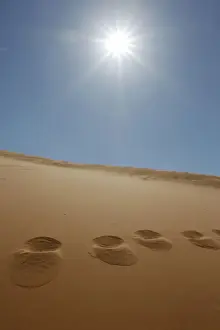 Trace Prints: Footprints in the sand and the sun at Coral Pink Sand Dunes State Park, Utah, USA