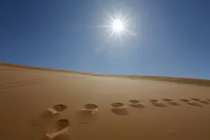 Trace Prints: Footprints in the sand and the sun at Coral Pink Sand Dunes State Park, Utah, USA