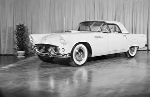 Coupe Prints: Ford Thunderbird on Display
