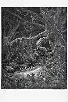 Grove Collection: The Forest