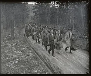 Forest Army Working