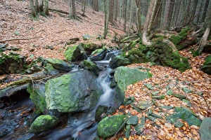 Images Dated 13th December 2015: Forest brook (river) with moss covered stones, long exposure