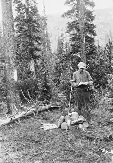 Bonfire Prints: Forest Ranger Hiking