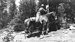 50 54 Years Prints: Forest Ranger on Horseback