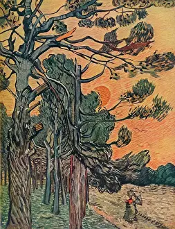 Prints of Foret De Sapins Au Declin Du Jour, 1889. From Van Gogh Paintings, introduction by Graham Reynolds. (Lindsay Drummond, Ltd and Les Editions du Chene, London and Paris, 1947) Echoes of Genius: Timeless Reproductions of a Master’s Vision: Foret De Sapins Au Declin Du Jour