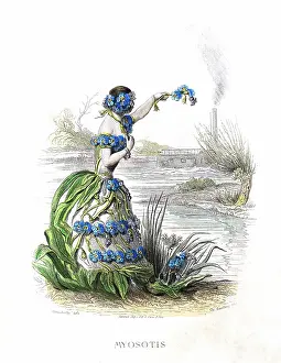 Grandville Prints: Forget-me-not - Stunning Hand-colored plate from 'Les Fleurs Animees by J