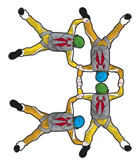 Formation skydivers