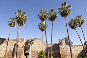 Images Dated 19th May 2015: Fortified wall of the Alcazaba of Merida