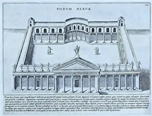 Ethnic Groups Prints: Forum Nervae, Forum of Nerva, historical Rome