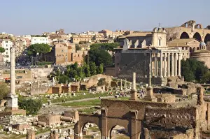 Nature’s Masterpiece: Forum Romanum Phocas column Temple of Antoninus and Faustina Rome Italy