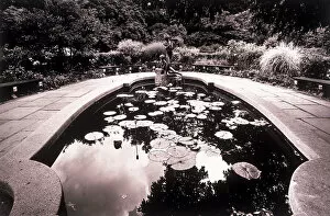 Pond Collection: Fountain with statue and lily pads