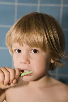 Studio Prints: Four-year-old blond boy brushing his teeth