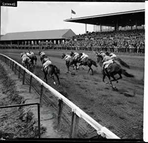 Fourth Race at the Empire City Meet