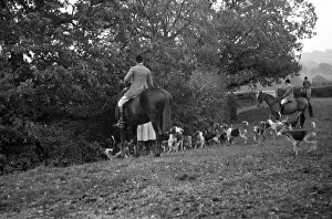 Recreational Prints: Fox Hunt