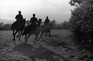 Fox Hunting