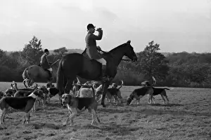 Format Landscap Prints: Fox Hunting