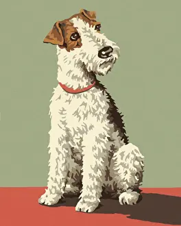 Fluffy Prints: Fox Terrier Dog