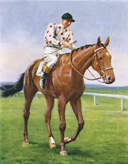 Racetrack Prints: Foxbrough Ii