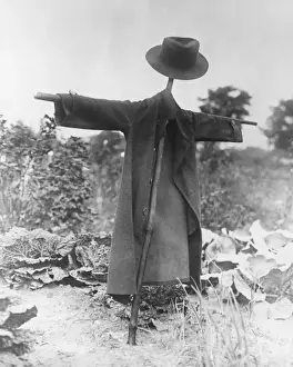 Scarecrow Prints: FPG (Originally known as Freelance Photographers Guild)
