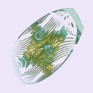 Fill Prints: Fractal graphics, abstract