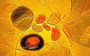 Fill Prints: Fractal graphics, abstract