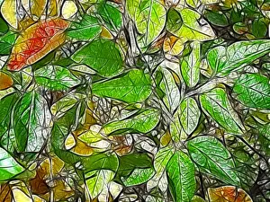 Fractal graphics, abstract