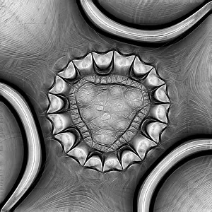 Fractal object