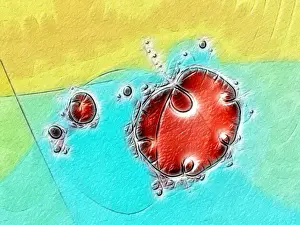 Fills Prints: Fractal object
