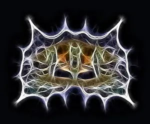 Geometrical Prints: Fractal object